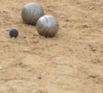 Jocs tradicionals: patacons, baldufes, xapes, bales, bilboquet, tabes, xarranca, bitlles ...