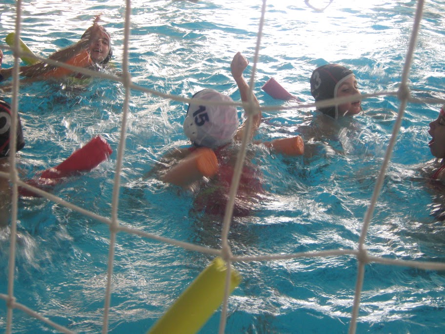 Jornada d'iniciació esportiva de natació