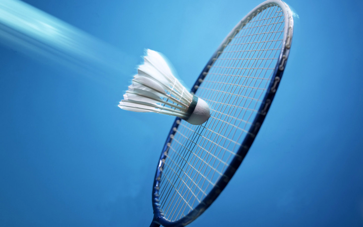 Bàdminton a educació física