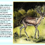 01 - Cuento El leon y la gacela LA EMPATIA - cuento 5