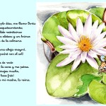 01 - Cuento La abeja Berta y el abuelo Li. LA AUTOESTIMA - cuento 1