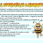 01 - Cuento La escarabajo Mariquita LA TOLERANCIA - cuento 7