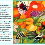 01 - Cuento La escarabajo Mariquita LA TOLERANCIA - cuento 7