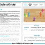 Endless-Cricket