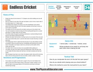 Endless-Cricket