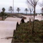 Barcelona inaugura un nou skatepark