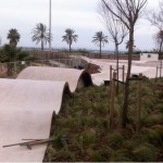 Barcelona inaugura un nou skatepark