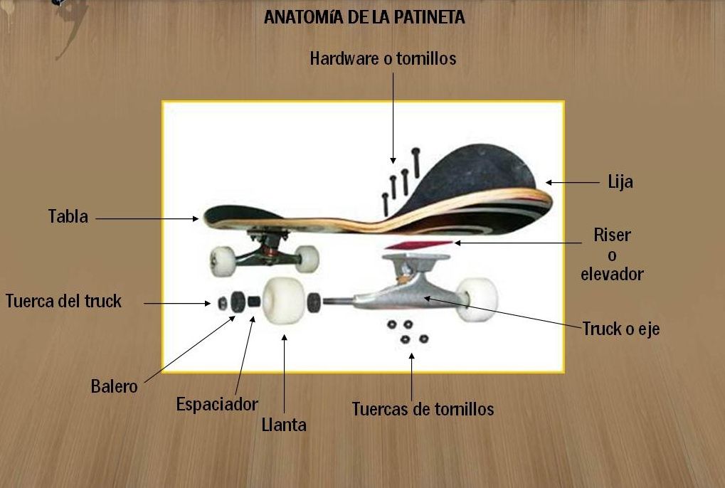 Skates i monopatins