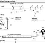 Propostes d'activitats d'atletisme