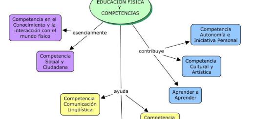 Las competencias básicas desde la Educación Física