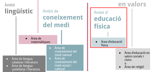 Avançament del currículum d'educació física 2015 per a l'educació primària