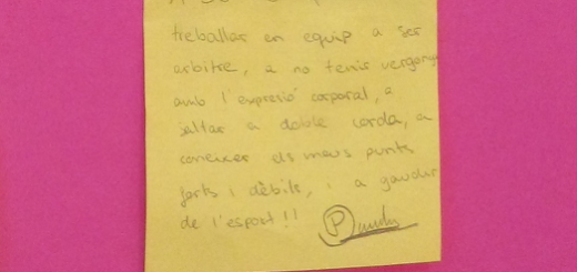 Què hem après aquest curs a EF de 5è?