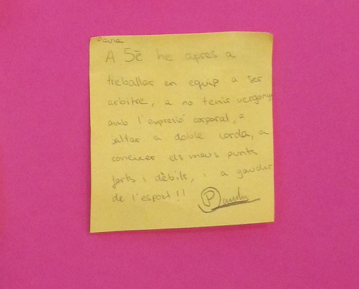 Què hem après aquest curs a EF de 5è?