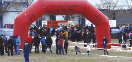 Consells esportius de Catalunya