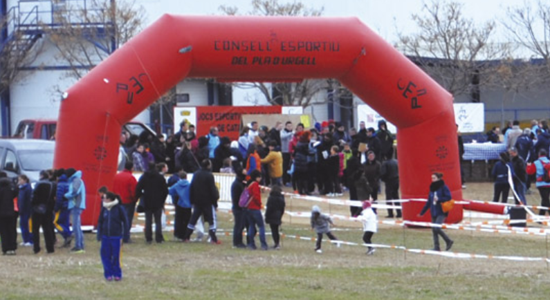 Consells esportius de Catalunya