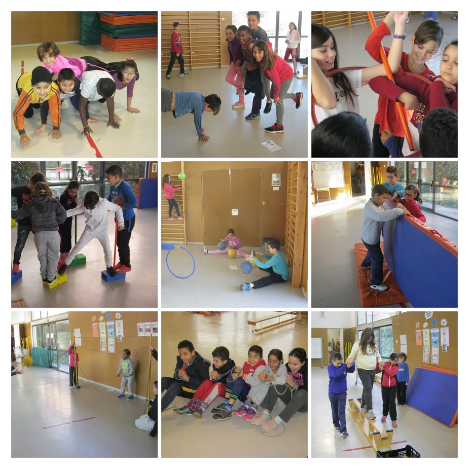 Projecte Formigues Cooperatives a l'escola