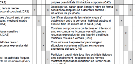 Instruments d'avaluació en l'àmbit de l'educació física