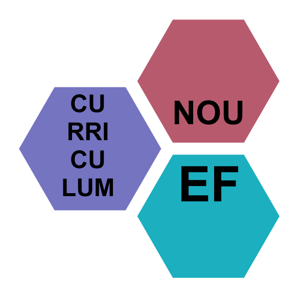 Anàlisi del nou currículum d'educació física 2022