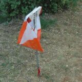 Cursa d'orientació al bosc de la Grípia