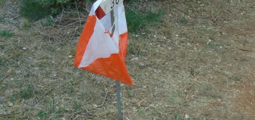 Cursa d'orientació al bosc de la Grípia