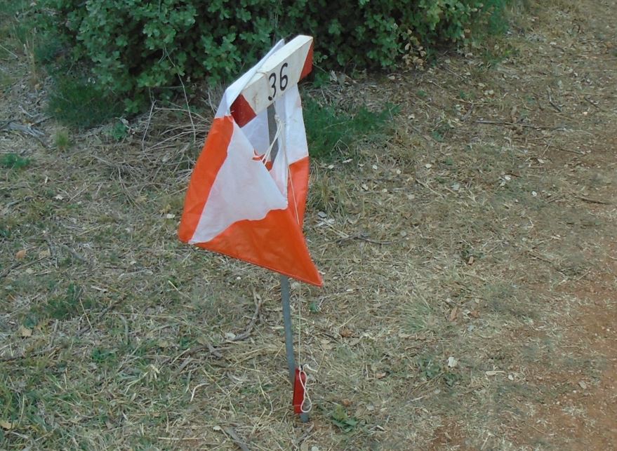 Cursa d'orientació al bosc de la Grípia